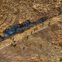 January 2020 (The Wilds)